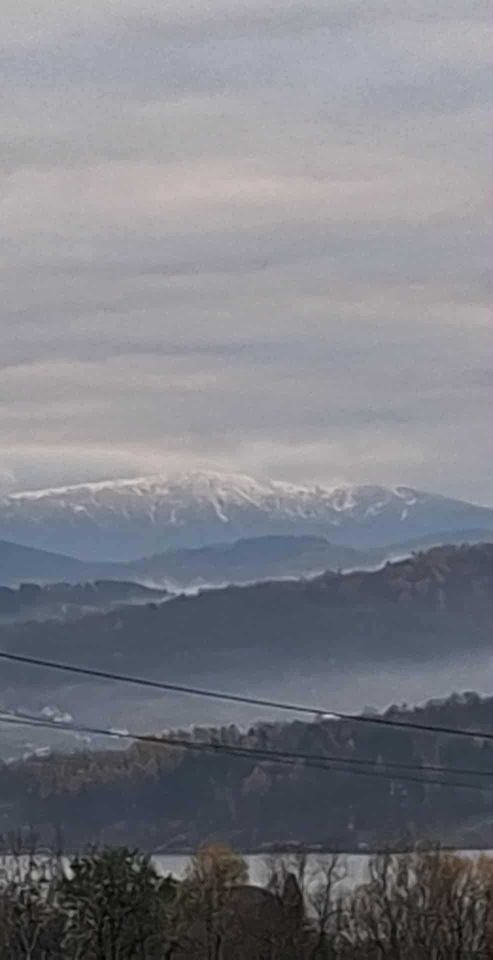 Działka rolno-budowlana Dąbrówka. Zdjęcie 3