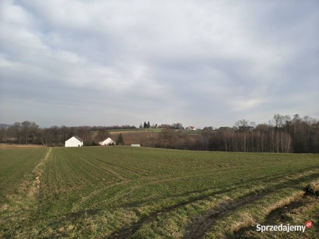 Działka rolna Sławkowice Kalinów. Zdjęcie 1