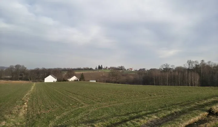 Działka rolna Sławkowice Kalinów