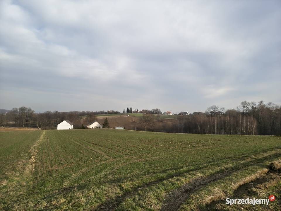 Działka rolna Sławkowice Kalinów. Zdjęcie 1