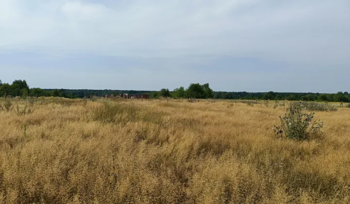 Działka budowlana Tąpkowice, ul. Brynicka