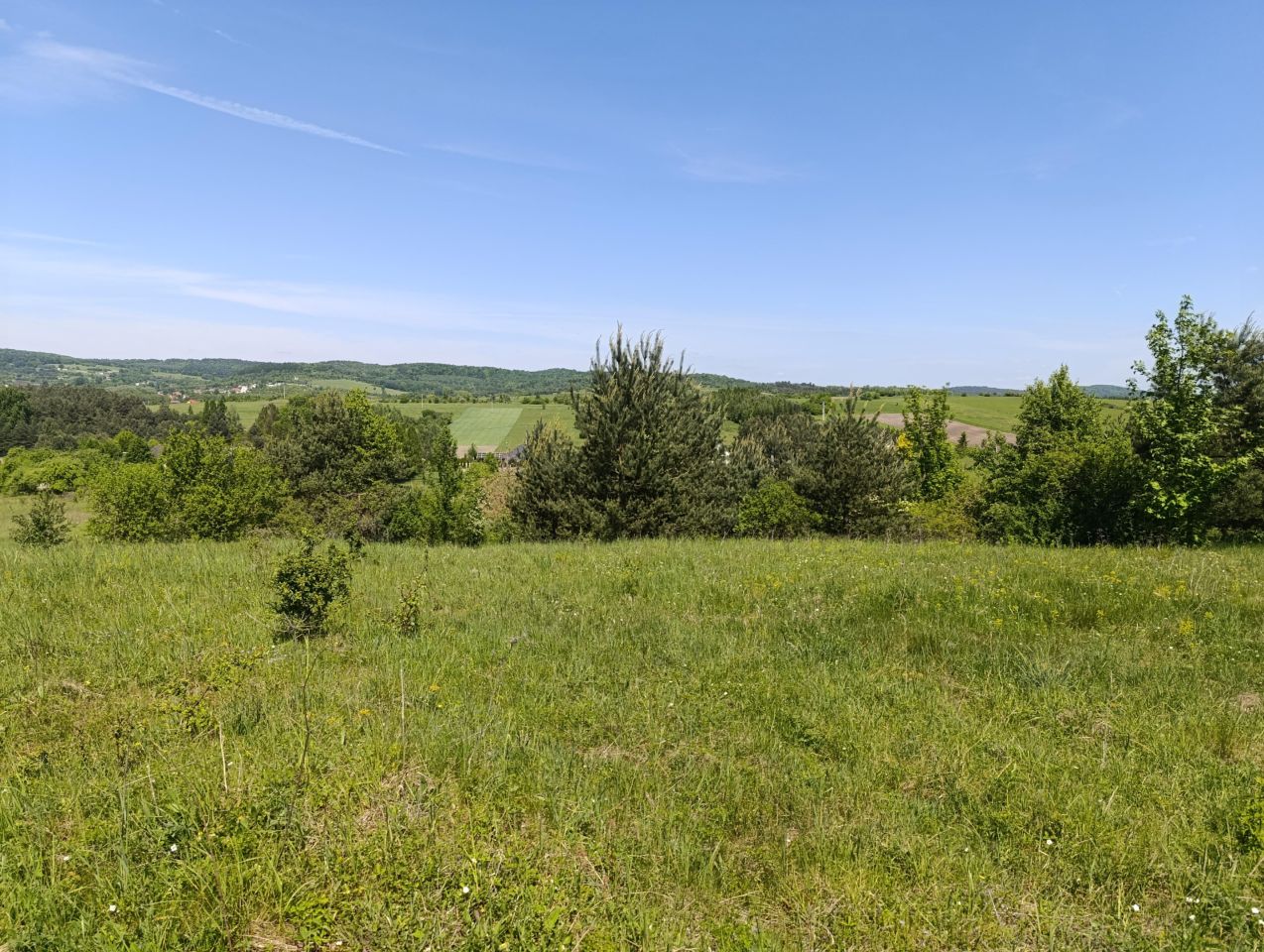 Działka budowlana Ryczówek Pod Lasem, ul. Krzewowa. Zdjęcie 3