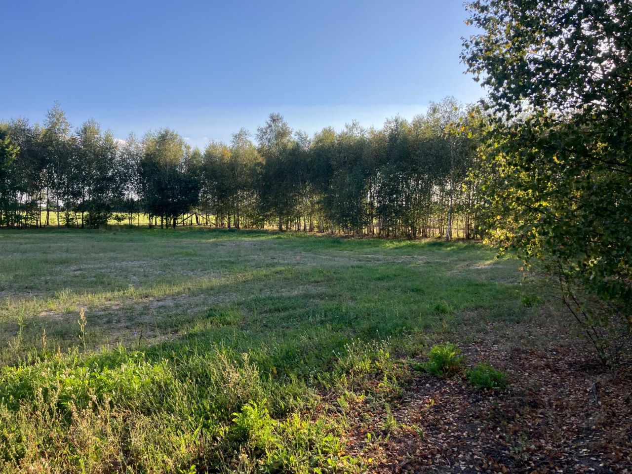 Działka budowlana Bąblin. Zdjęcie 2