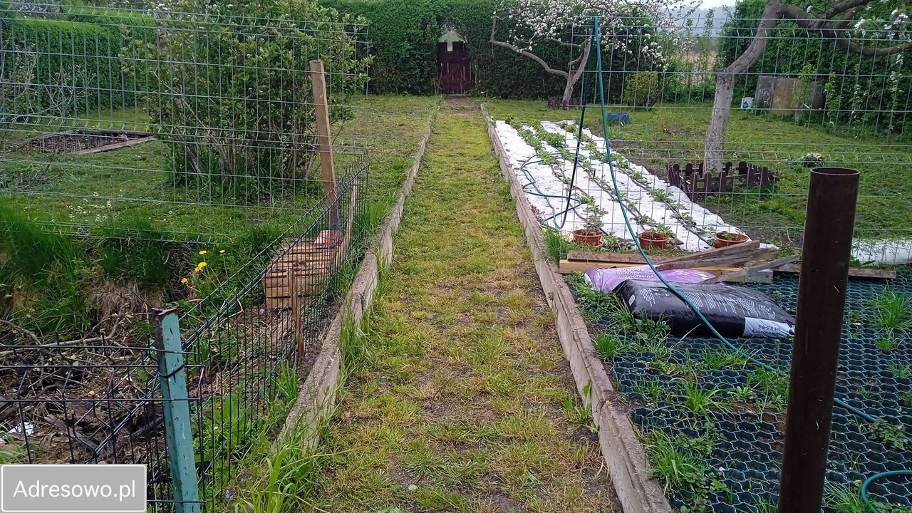 dom wolnostojący, 1 pokój Dębogórze-Wybudowanie. Zdjęcie 13