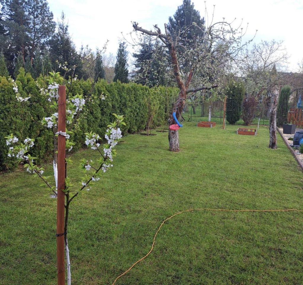 Działka rekreacyjna Szczecin Gumieńce, ul. Przygodna. Zdjęcie 4