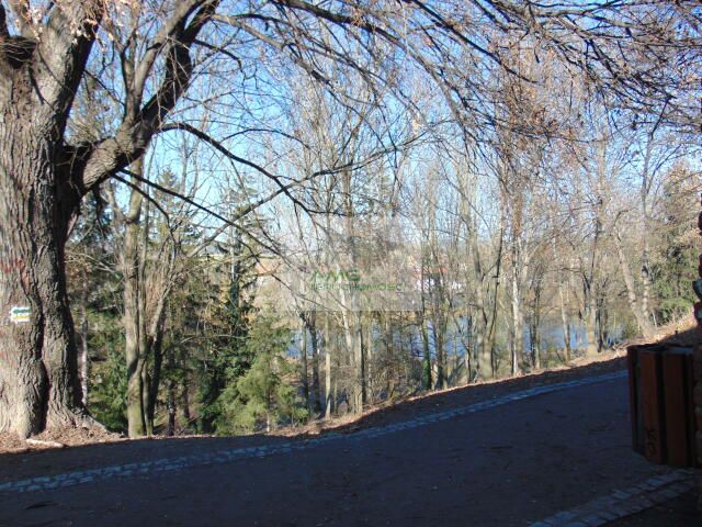 kamienica, 5 pokoi Niemcza, ul. Ratuszowa. Zdjęcie 5