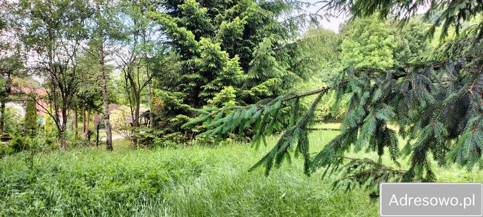 Działka rekreacyjna Zagórze Śląskie. Zdjęcie 8
