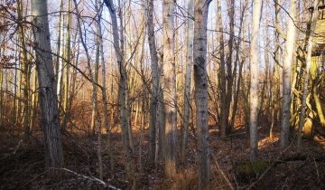 Działka rolna Pogorzała, Świdnicka