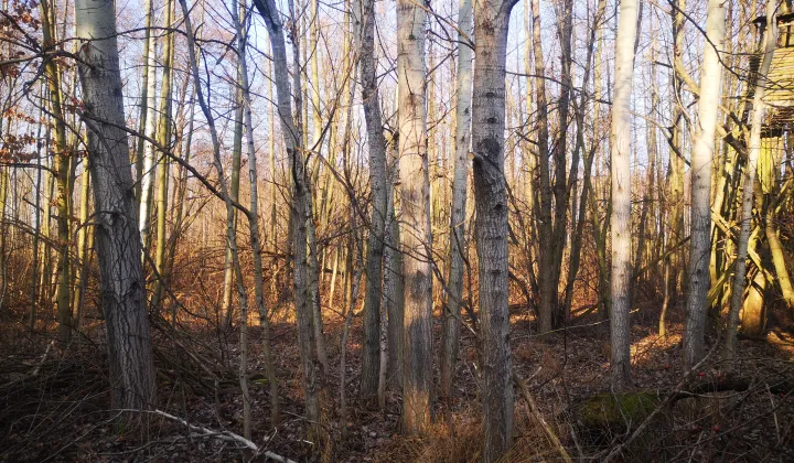 Działka rolna Pogorzała