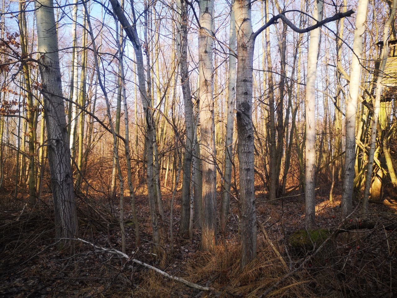 Działka rolna Pogorzała, Świdnicka