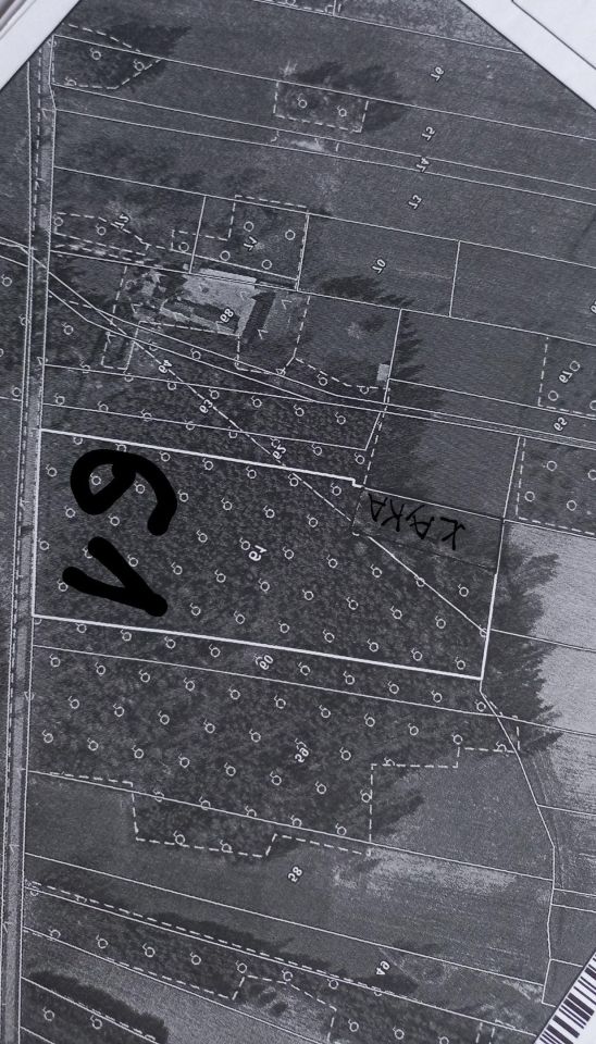 Działka leśna Romanów. Zdjęcie 6