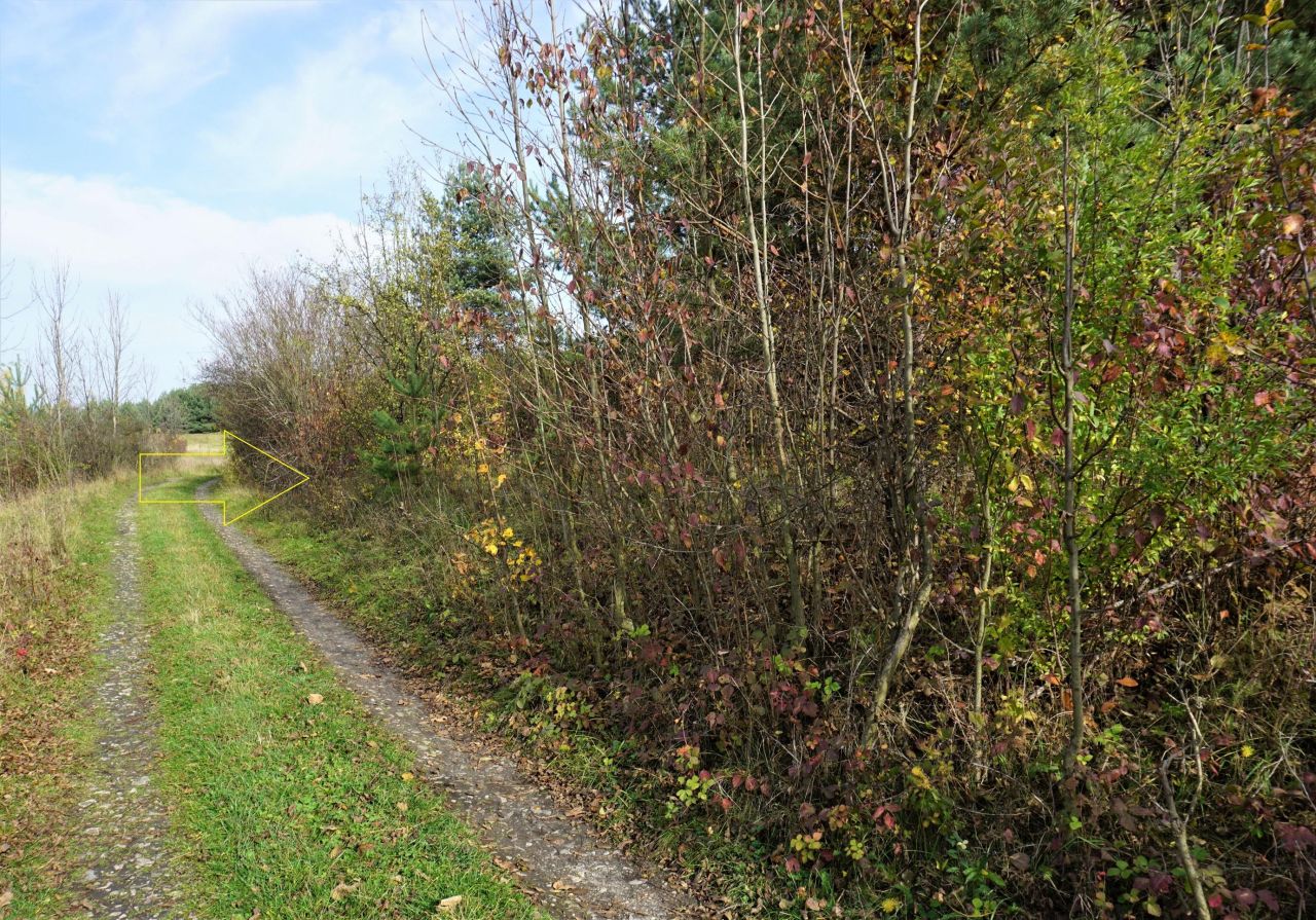 Działka inna Niesułowice Kasprzyki, ul. Żurawia. Zdjęcie 7