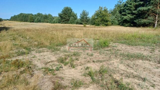 Działka budowlana Grabów nad Pilicą. Zdjęcie 15