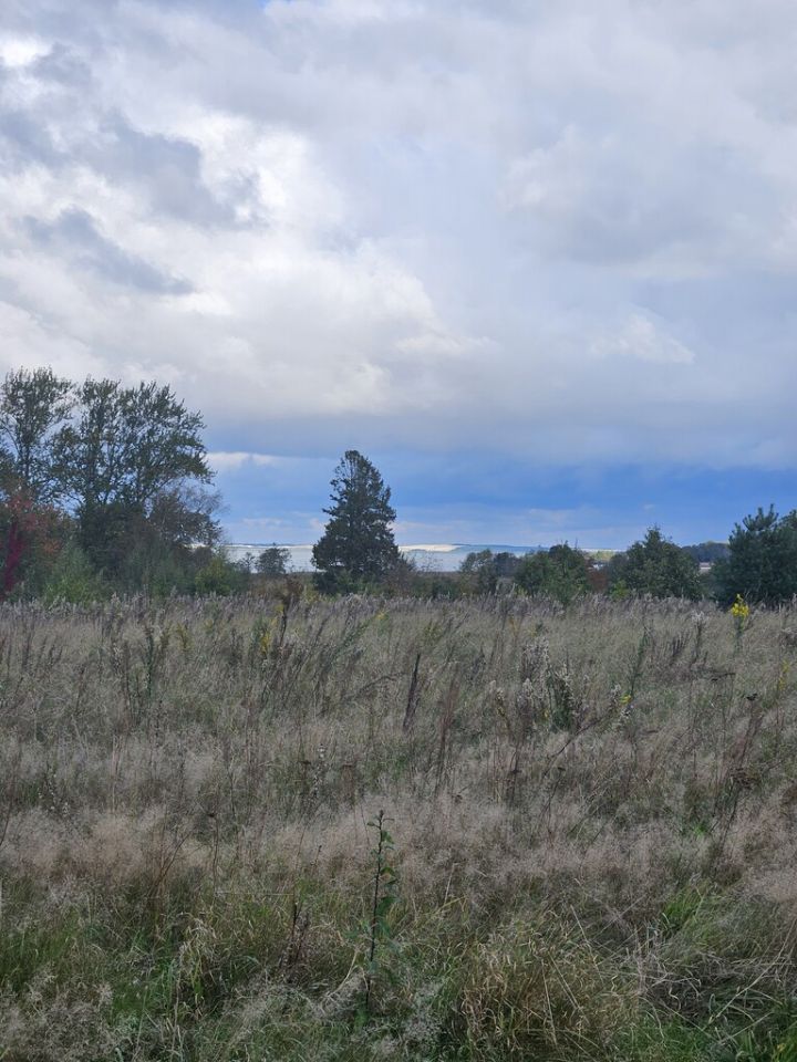 Działka budowlana Izbica. Zdjęcie 9