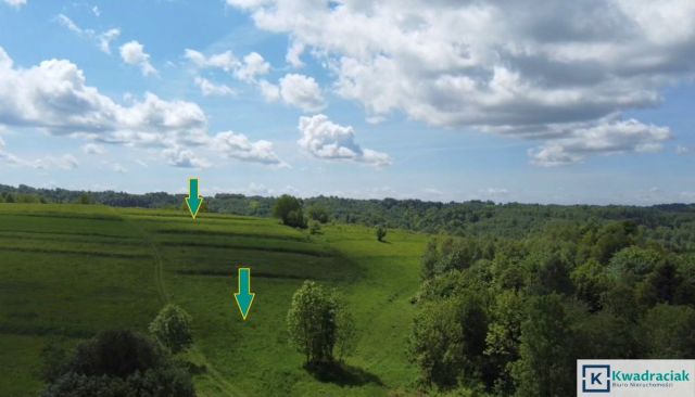 Działka rolna Golcowa. Zdjęcie 4