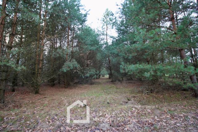 Działka rolno-budowlana Dąbrówka-Niwka. Zdjęcie 1