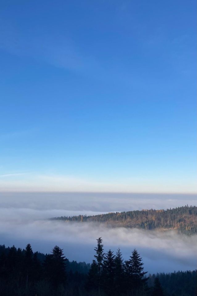 dom wolnostojący, 5 pokoi Myślenice Chełm, Chełm. Zdjęcie 7