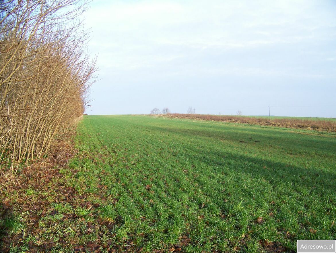 Działka rolna Dargikowo. Zdjęcie 7