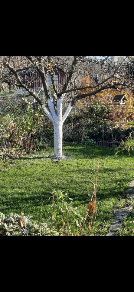 Działka rod Olsztyn Pieczewo, ul. Wisławy Szymborskiej. Zdjęcie 9