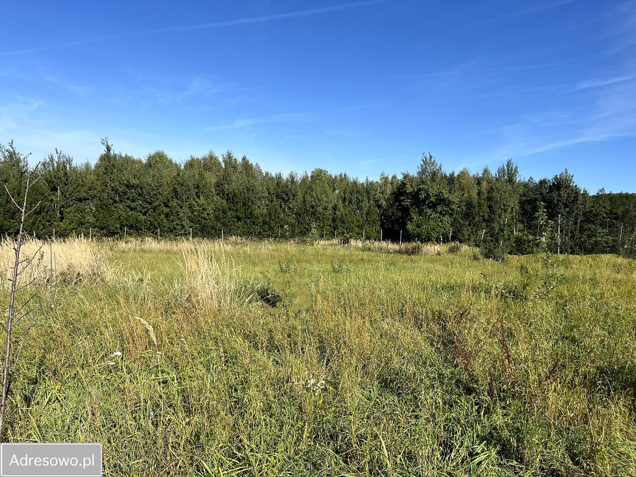 Działka rolno-budowlana Olchowa. Zdjęcie 8