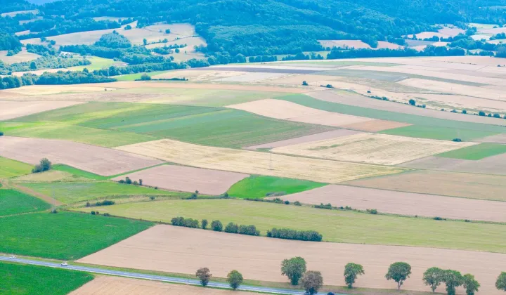 Działka rolna Stary Waliszów