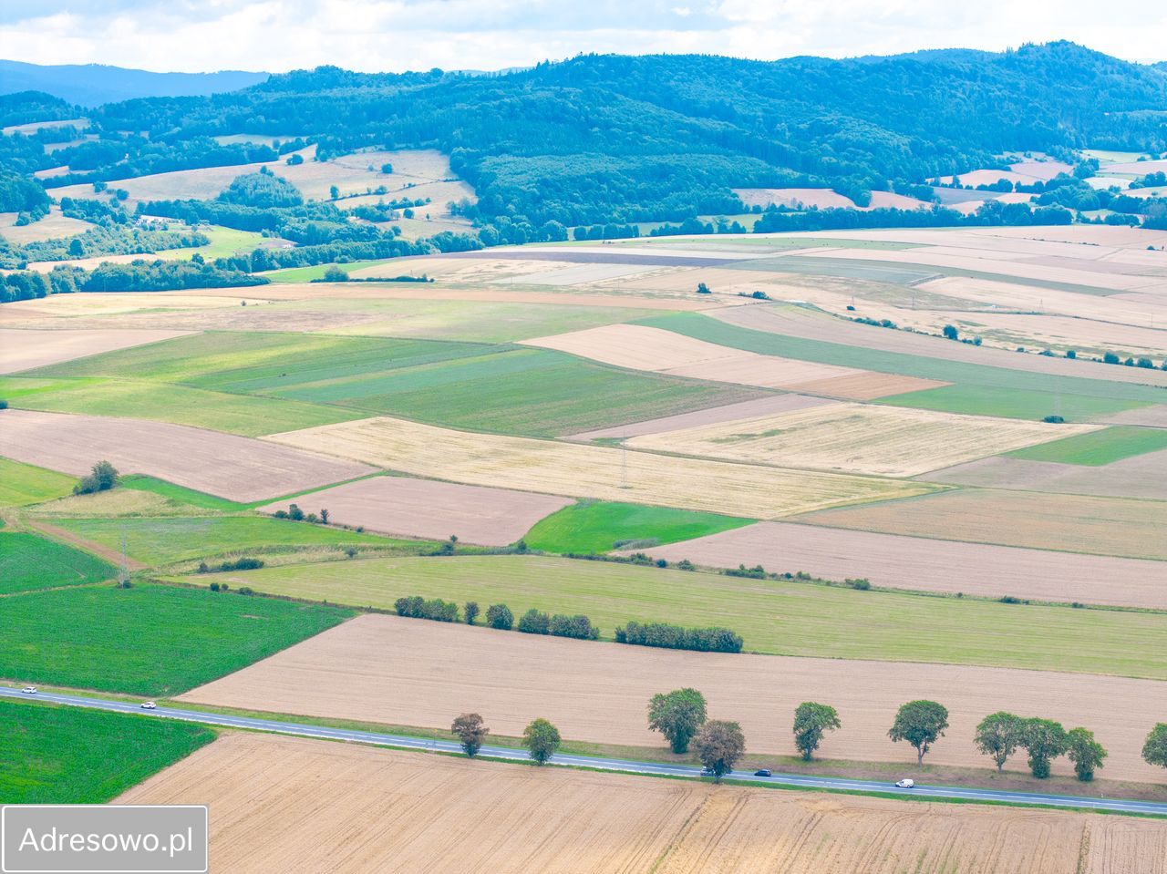 Działka rolna Stary Waliszów. Zdjęcie 1