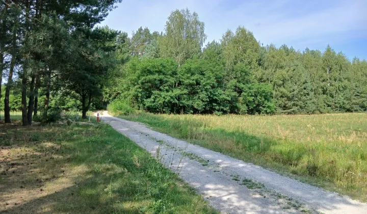 Działka rolna Stara Huta Sęk, Droga na sek