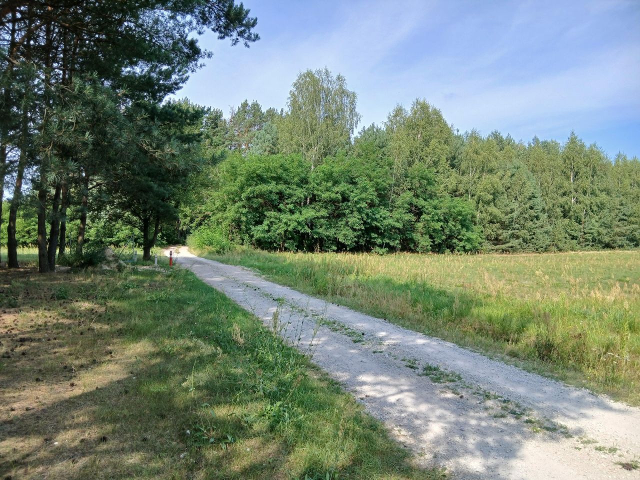 Działka rolna Stara Huta Sęk. Zdjęcie 1