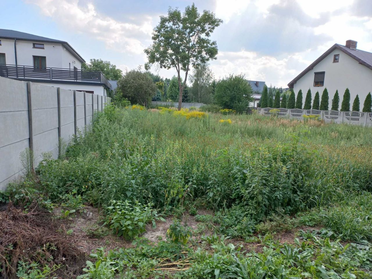 Działka budowlana Koło Kaliskie Przedmieście, ul. Jarosława Dąbrowskiego. Zdjęcie 5