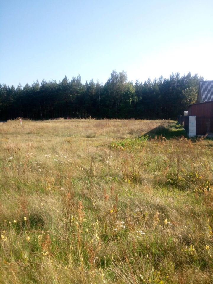 Działka rolno-budowlana Skwierzyna, ul. Bukowa. Zdjęcie 2