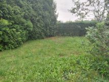 Działka rod Zabrze, ul. Ogrodowa. Zdjęcie 3