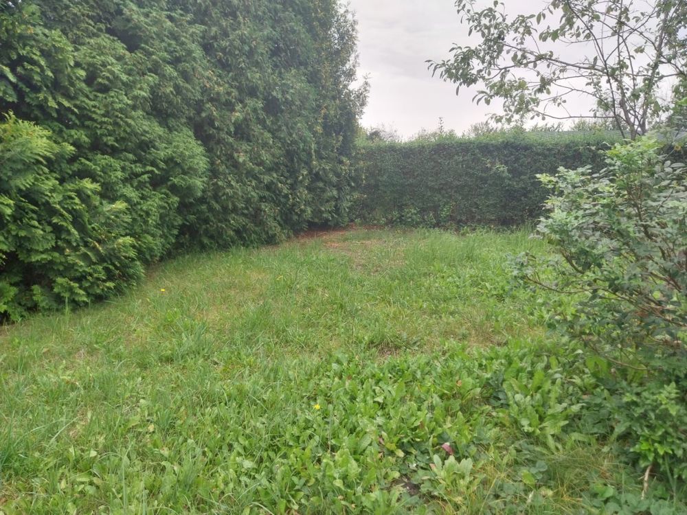 Działka rod Zabrze, ul. Ogrodowa. Zdjęcie 4