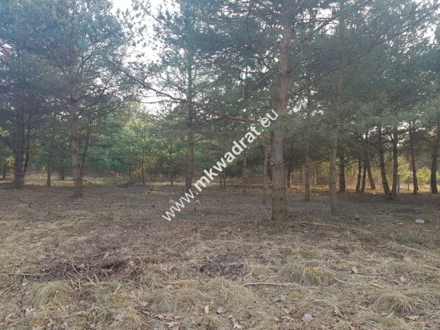 Działka Rozalin. Zdjęcie 7