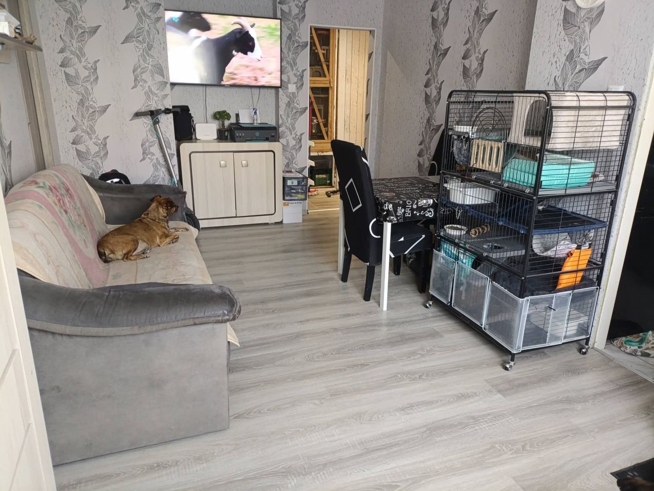 Mieszkanie 3-pokojowe Elbląg Centrum, ul. 12 Lutego. Zdjęcie 2