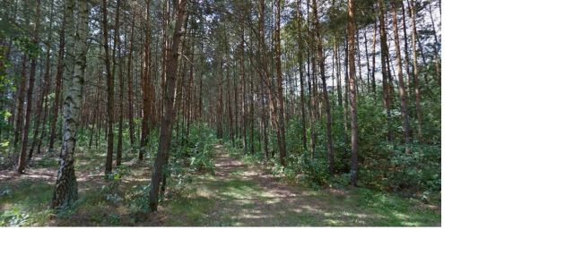 Działka budowlana Adamów-Parcel. Zdjęcie 1