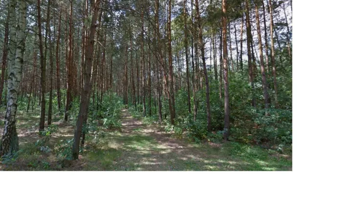 Działka budowlana Adamów-Parcel