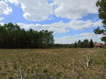 Działka budowlana Zbójno Greszczyn. Zdjęcie 2