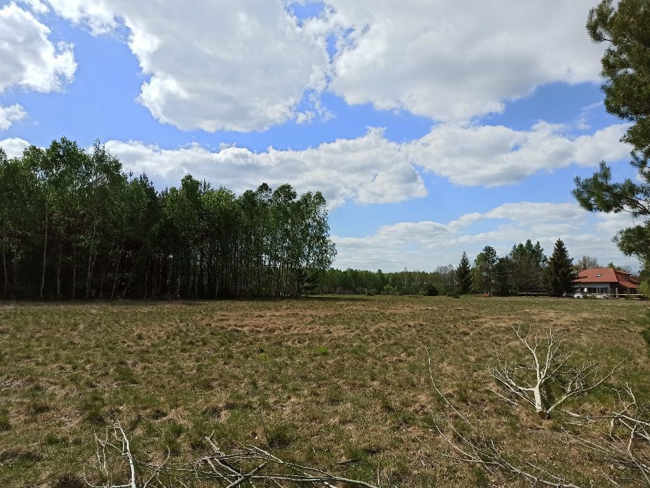 Działka budowlana Zbójno Greszczyn. Zdjęcie 3