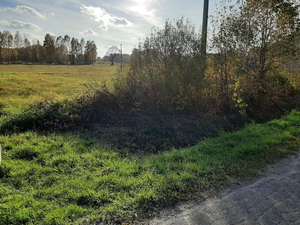 Działka rolno-budowlana Mokra Wieś Zalesie. Zdjęcie 4