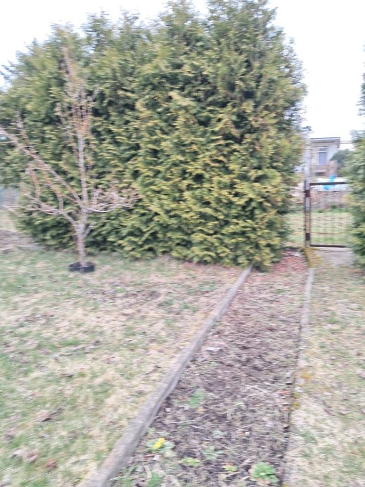 Działka rod Niekłonice. Zdjęcie 7