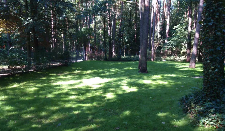 Działka budowlana Sokolniki-Las, ul. Adama Mickiewicza