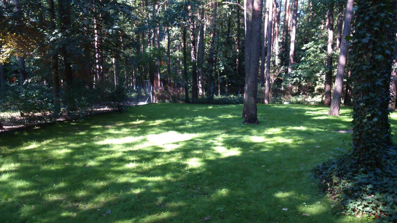 Działka budowlana Sokolniki-Las, ul. Adama Mickiewicza