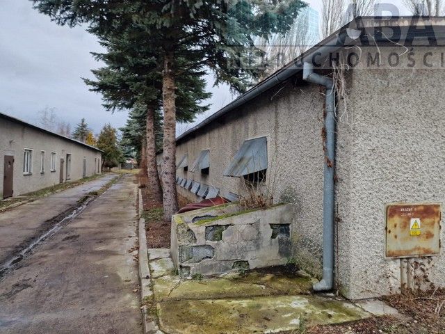 Hala/magazyn Brzeźno, ul. Sienna. Zdjęcie 3