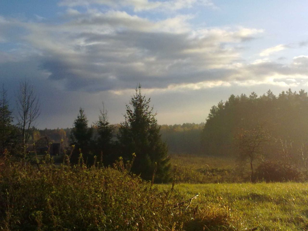 Działka rolna Borowy Młyn. Zdjęcie 6