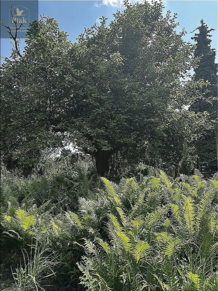 Działka budowlana Poznań Naramowice. Zdjęcie 6