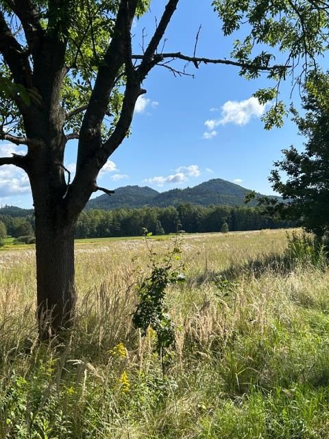 Działka siedliskowa Łomnica, ul. Karpnicka. Zdjęcie 2