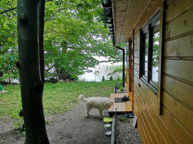 Działka rekreacyjna Wieprz. Zdjęcie 1