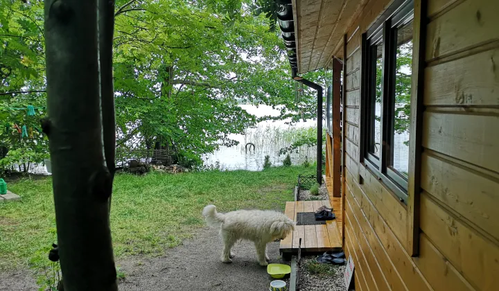 Działka rekreacyjna Wieprz