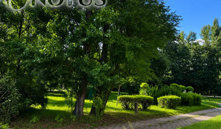 Mieszkanie 2-pokojowe Świętochłowice, ul. 1 Maja
