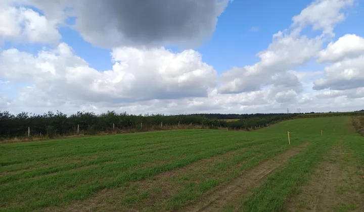Działka budowlana Równopole